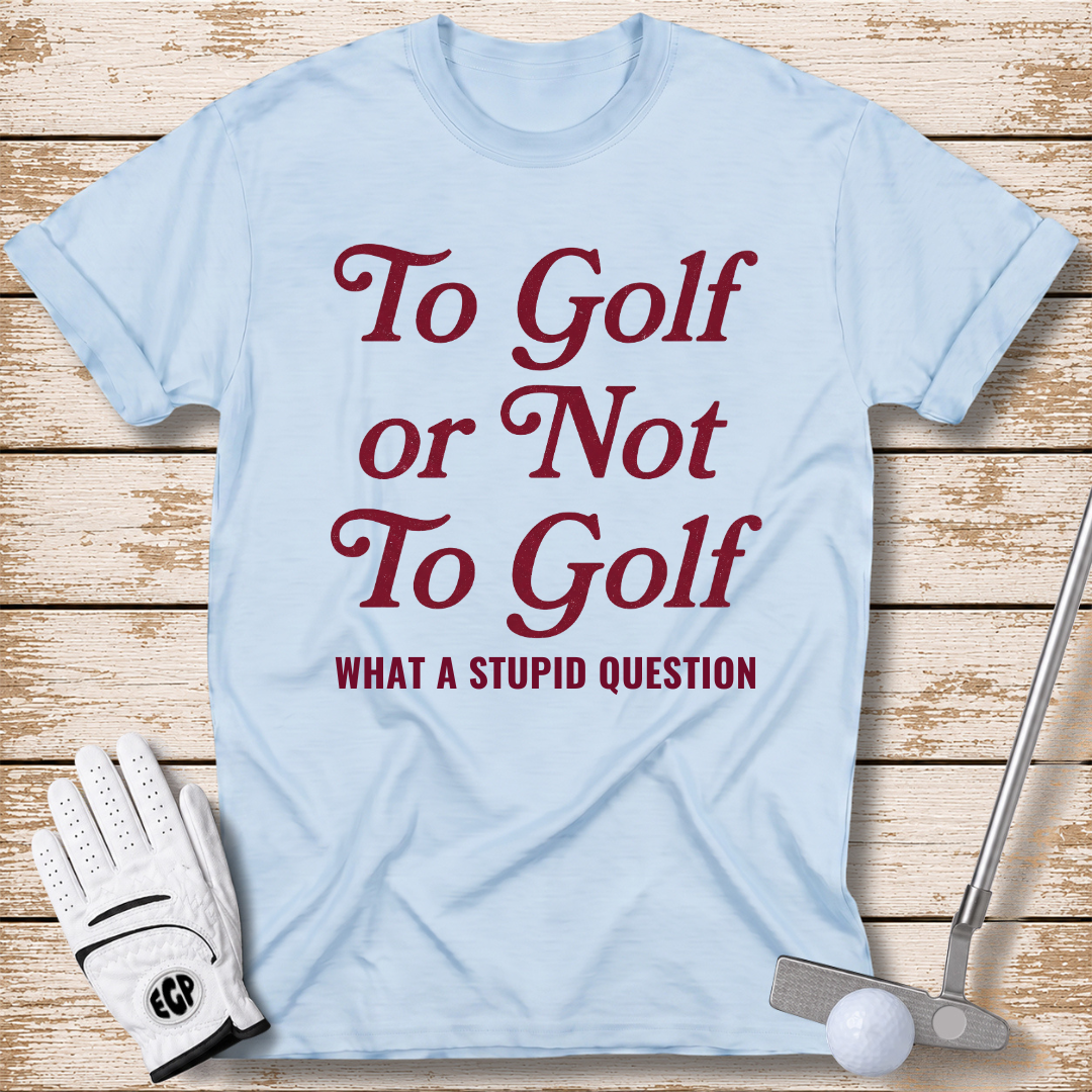 to-golf-or-not-to-golf-what-a-stupid-question-funny-golf-t-shirt-for-women-light-blue-color-the-next-fairway